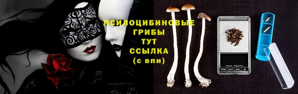кристаллы Белокуриха