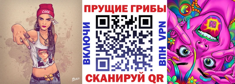 Галлюциногенные грибы ЛСД  Купить закладки  Протвино 